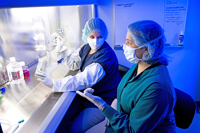 Regenerative medicine team at work in the lab